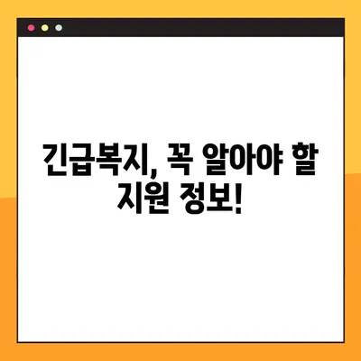 2024년 긴급복지지원제도 완벽 가이드| 의료, 생계, 주거 지원 | 긴급복지, 지원 대상, 신청 방법, 필요 서류