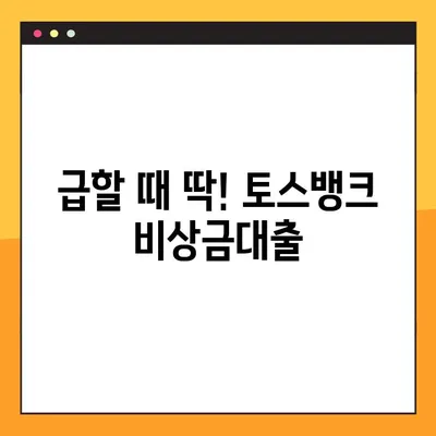 토스뱅크 비상금대출, 10분 만에 신청부터 승인까지 완료! | 비상금, 빠른 대출, 간편 신청