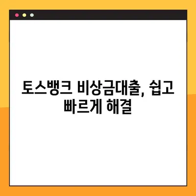 토스뱅크 비상금대출, 10분 만에 신청부터 승인까지 완료! | 비상금, 빠른 대출, 간편 신청