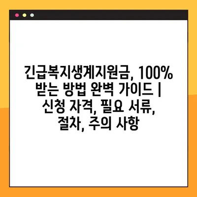 긴급복지생계지원금, 100% 받는 방법 완벽 가이드 | 신청 자격, 필요 서류, 절차, 주의 사항