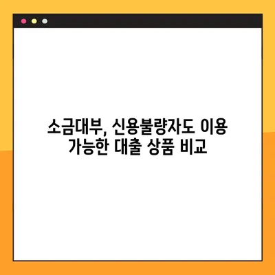 소금대부, 신용불량자도 가능할까요? | 소금대부, 신용불량, 대출, 금융