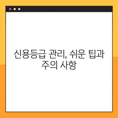 내 신용등급 점수 확인하고 올리는 방법! NICE & KCB 신용등급 관리 가이드 | 신용등급 조회, 신용등급 상승, 신용 관리 팁