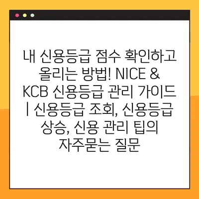 내 신용등급 점수 확인하고 올리는 방법! NICE & KCB 신용등급 관리 가이드 | 신용등급 조회, 신용등급 상승, 신용 관리 팁