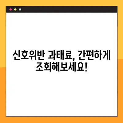 신호위반 과태료 벌금, 1분 만에 조회하는 방법 총정리 | 과태료 조회, 벌금 조회, 범칙금 조회, 위반 내역 확인