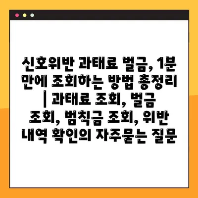신호위반 과태료 벌금, 1분 만에 조회하는 방법 총정리 | 과태료 조회, 벌금 조회, 범칙금 조회, 위반 내역 확인
