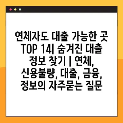 연체자도 대출 가능한 곳 TOP 14| 숨겨진 대출 정보 찾기 | 연체, 신용불량, 대출, 금융, 정보