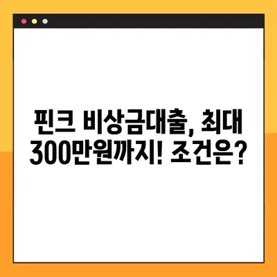 핀크 비상금대출, 최대 300만원까지! 무직자도 가능할까요? | 핀크, 비상금, 대출, 무직자, 조건, 한도