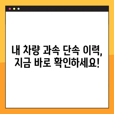 과속 단속 조회, 실시간 차량번호로 바로 확인하세요! | 과속 단속 조회, 실시간 조회, 차량번호 조회, 과태료 조회