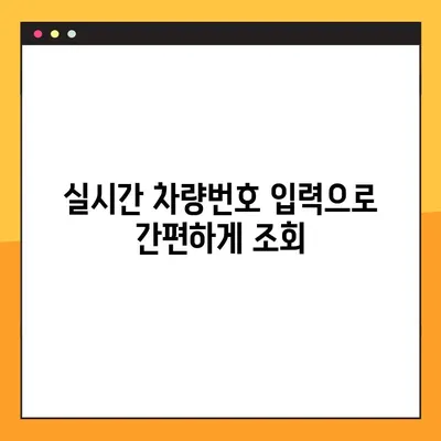 과속 단속 조회, 실시간 차량번호로 바로 확인하세요! | 과속 단속 조회, 실시간 조회, 차량번호 조회, 과태료 조회
