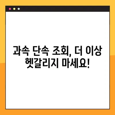 과속 단속 조회, 실시간 차량번호로 바로 확인하세요! | 과속 단속 조회, 실시간 조회, 차량번호 조회, 과태료 조회