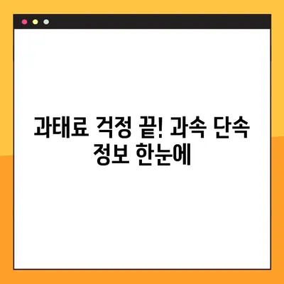 과속 단속 조회, 실시간 차량번호로 바로 확인하세요! | 과속 단속 조회, 실시간 조회, 차량번호 조회, 과태료 조회