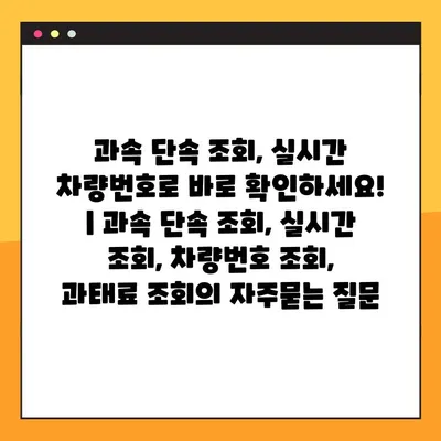 과속 단속 조회, 실시간 차량번호로 바로 확인하세요! | 과속 단속 조회, 실시간 조회, 차량번호 조회, 과태료 조회
