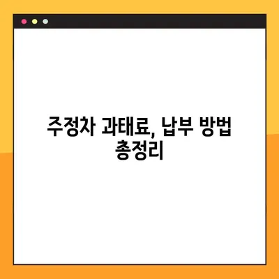 주정차위반 조회 & 과태료 납부, 이제 헷갈리지 마세요! | 간편 조회부터 납부까지 완벽 가이드 |