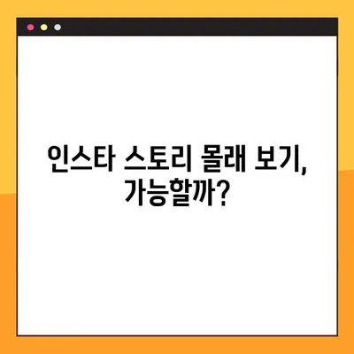 인스타 스토리 몰래보기? 🤫  2024년 최신 방법 총정리 | 비행기모드, 사이트 활용, 주의사항