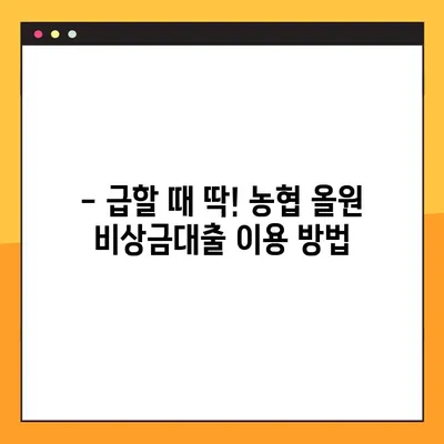 농협 올원 비상금대출| 무직자도 3분 만에 가능할까? | 빠르고 간편한 비상금 대출 신청 방법