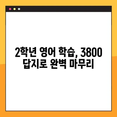 중학 영문법 3800 2학년 답지 다운로드 PDF | 핵심 정리 & 문제 풀이