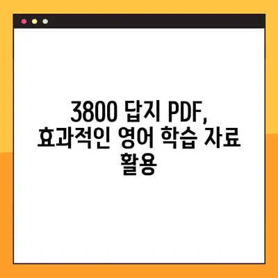 중학 영문법 3800 2학년 답지 다운로드 PDF | 핵심 정리 & 문제 풀이