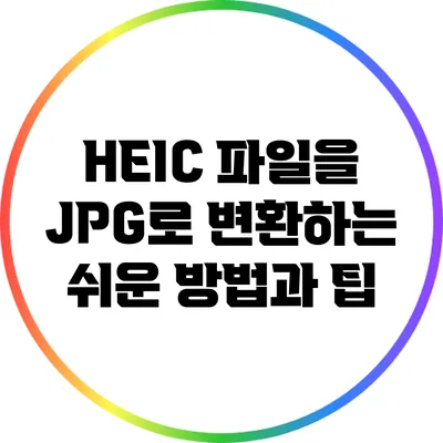 HEIC 파일을 JPG로 변환하는 쉬운 방법과 팁