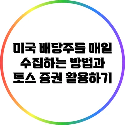 미국 배당주를 매일 수집하는 방법과 토스 증권 활용하기