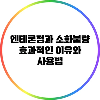 엔테론정과 소화불량: 효과적인 이유와 사용법