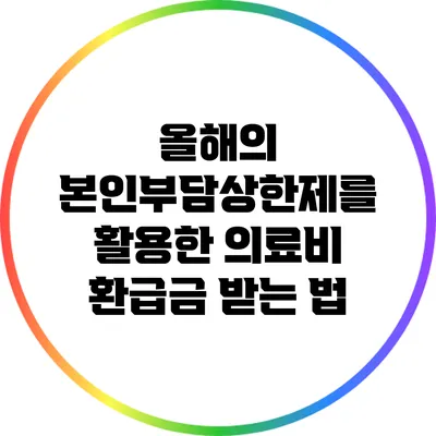 올해의 본인부담상한제를 활용한 의료비 환급금 받는 법