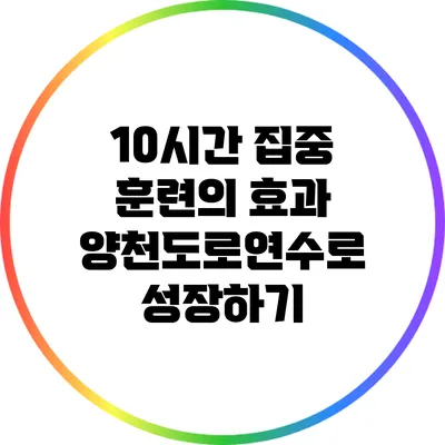 10시간 집중 훈련의 효과: 양천도로연수로 성장하기