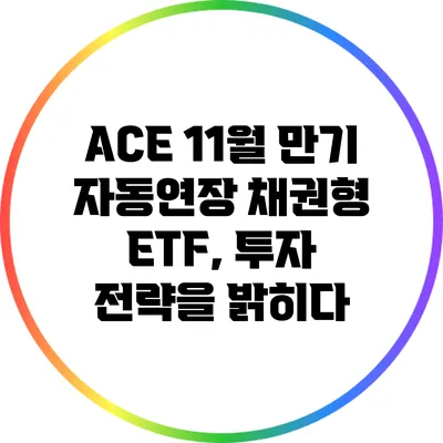 ACE 11월 만기 자동연장 채권형 ETF, 투자 전략을 밝히다