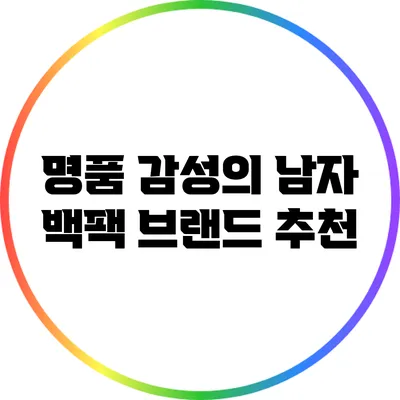 명품 감성의 남자 백팩 브랜드 추천