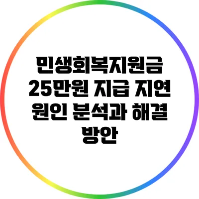 민생회복지원금 25만원 지급 지연 원인 분석과 해결 방안