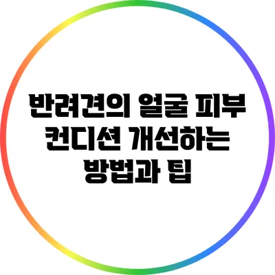 반려견의 얼굴 피부 컨디션 개선하는 방법과 팁