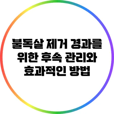 불독살 제거 경과를 위한 후속 관리와 효과적인 방법