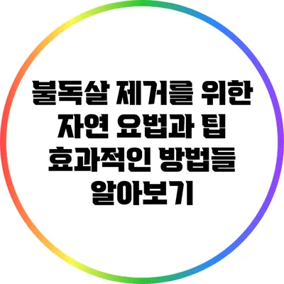 불독살 제거를 위한 자연 요법과 팁: 효과적인 방법들 알아보기