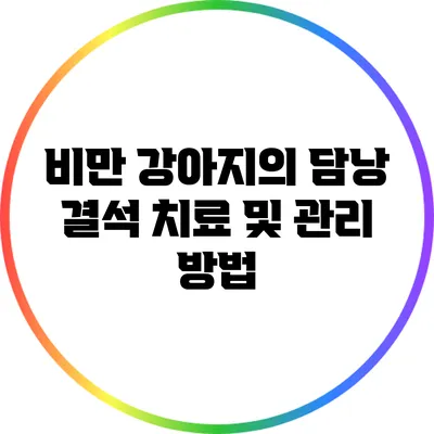 비만 강아지의 담낭 결석 치료 및 관리 방법