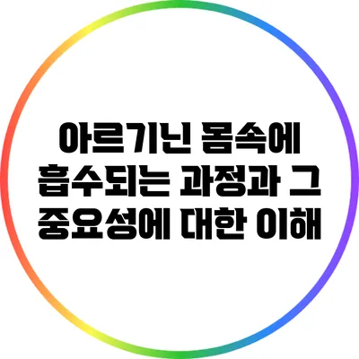 아르기닌: 몸속에 흡수되는 과정과 그 중요성에 대한 이해