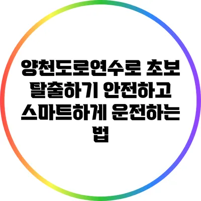 양천도로연수로 초보 탈출하기: 안전하고 스마트하게 운전하는 법
