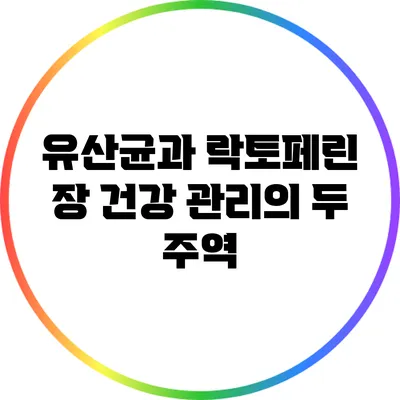 유산균과 락토페린: 장 건강 관리의 두 주역