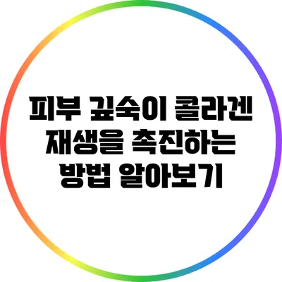 피부 깊숙이 콜라겐 재생을 촉진하는 방법 알아보기
