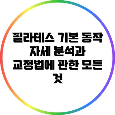 필라테스 기본 동작: 자세 분석과 교정법에 관한 모든 것