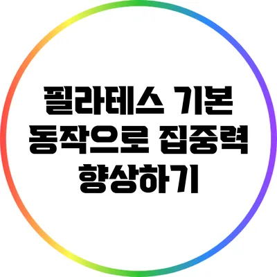 필라테스 기본 동작으로 집중력 향상하기