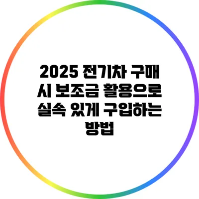 2025 전기차 구매 시 보조금 활용으로 실속 있게 구입하는 방법