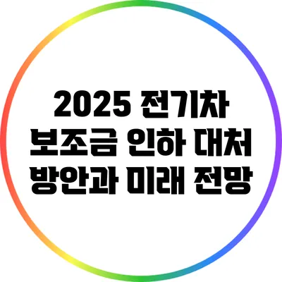 2025 전기차 보조금 인하 대처 방안과 미래 전망