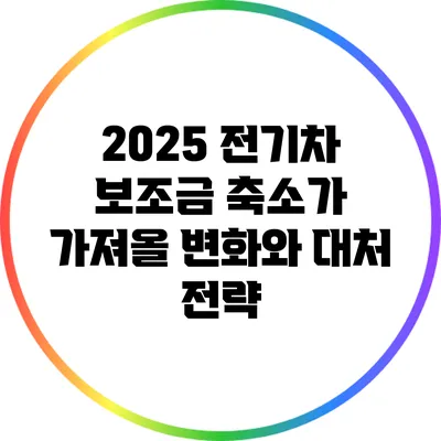 2025 전기차 보조금 축소가 가져올 변화와 대처 전략