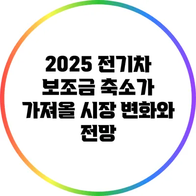 2025 전기차 보조금 축소가 가져올 시장 변화와 전망