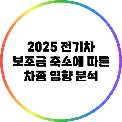 2025 전기차 보조금 축소에 따른 차종 영향 분석