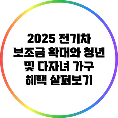 2025 전기차 보조금 확대와 청년 및 다자녀 가구 혜택 살펴보기