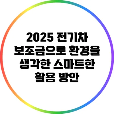 2025 전기차 보조금으로 환경을 생각한 스마트한 활용 방안
