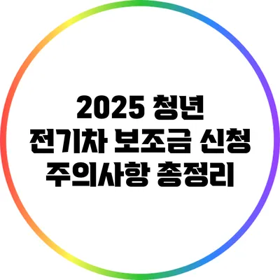 2025 청년 전기차 보조금 신청 주의사항 총정리