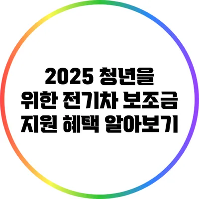 2025 청년을 위한 전기차 보조금 지원 혜택 알아보기