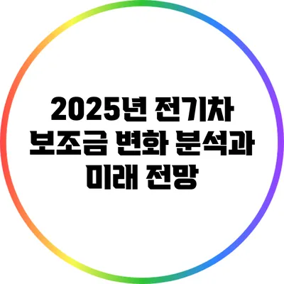 2025년 전기차 보조금 변화 분석과 미래 전망