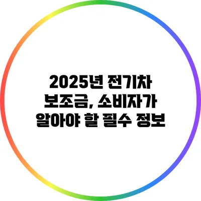2025년 전기차 보조금, 소비자가 알아야 할 필수 정보